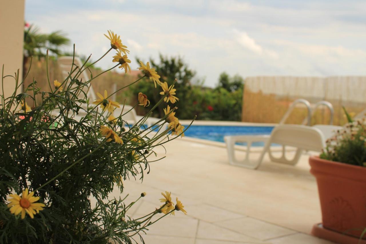 Apartman Robi Nova Vas  Luaran gambar